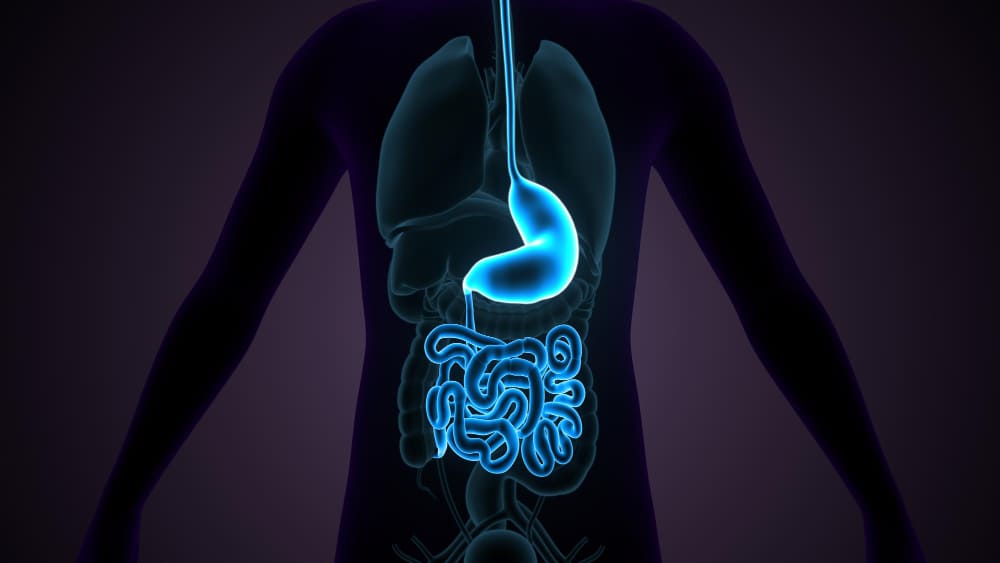 Valoración de hemorragia del tubo digestivo alto en CDMX y Estado de México con especialistas en cirugía general y endoscopia