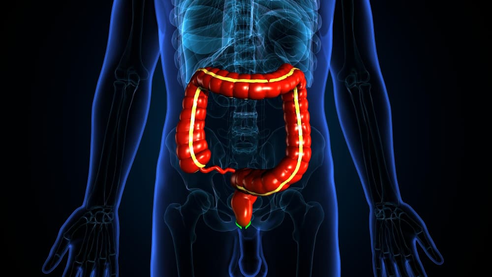 Valoración de la hemorragia de tubo digestivo bajo en CDMX y Estado de México con especialistas en cirugía general y endoscopia